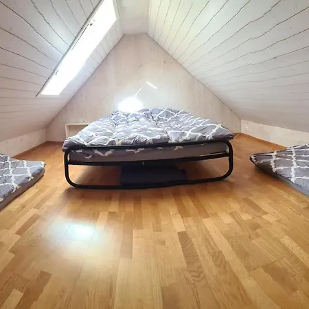 Attic Mountain & View * Vinelz